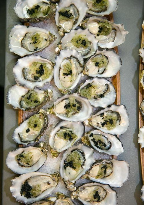 Marcellina's - Go Out 11