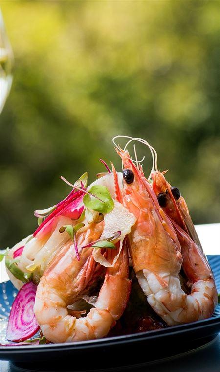 Marcellina's - Go Out 4