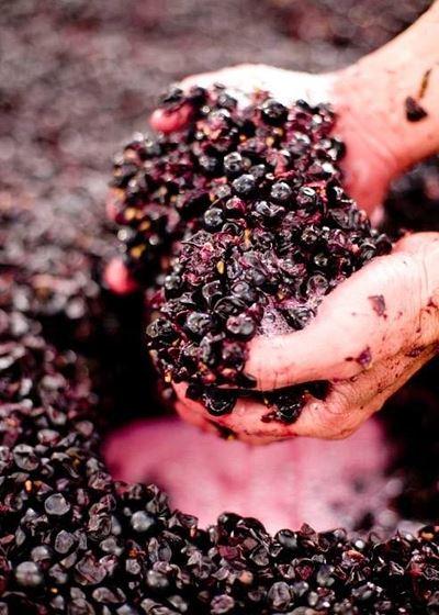 Papa Goose - Go Out 1