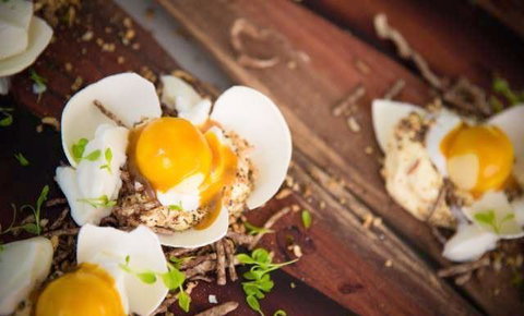 The Long Apron - Go Out 14