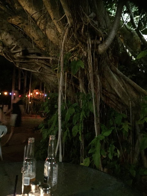 Big Fig Bistro - Go Out 6