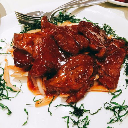 Launceston TAS Pubs and Clubs