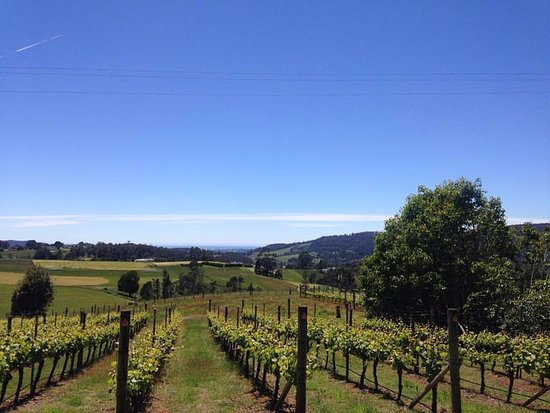 Barrington TAS Go Out