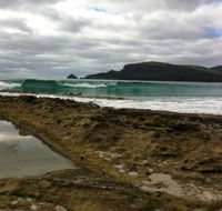 Bruny Island Berry Farm - Go Out