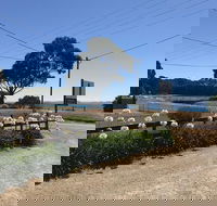 Penguin  Pardalote Coffee House - Go Out