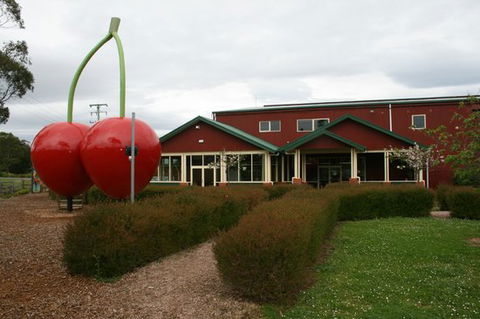 The Cherry Shed - Go Out 0