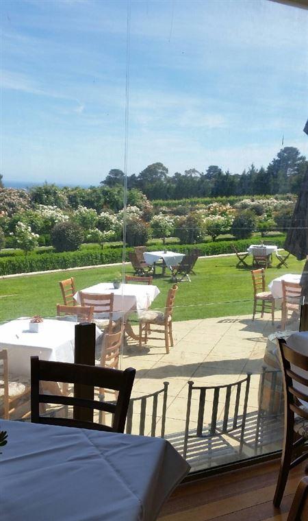 Morning Star Estate Venue - Pubs and Clubs 13