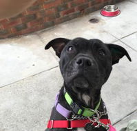 Raymond's Cafe - Go Out