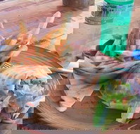 Nando's Ellenbrook - Go Out