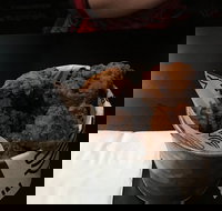 Bump in Burgers - Go Out