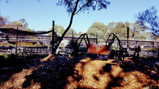 Hazelmere WA Pubs and Clubs