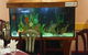 Dunsborough Chinese Restaurant - thumb 4