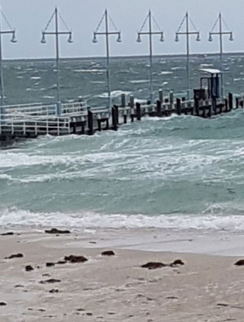 Palm Beach Cafe - Go Out 1