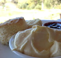 Tanglefoot Winery Cafe - Go Out