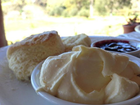 Tanglefoot Winery Cafe - Go Out 0