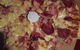 Zlice Gourmet Pizza Kitchen - thumb 0