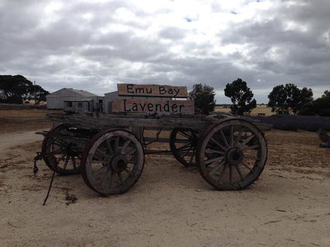 Emu Bay Lavender - Go Out 0