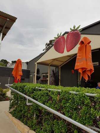 Green Valley Strawberries - Go Out 0