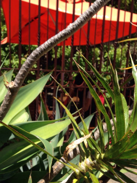 Soul Vine Cafe - Go Out 5