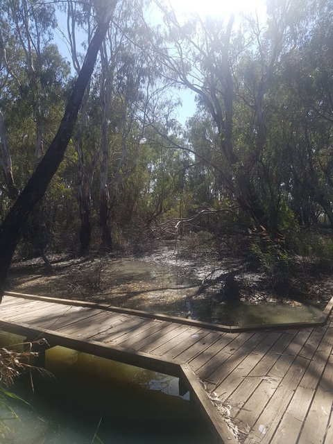 Banrock Station Wine & Wetlands Centre - Go Out 3