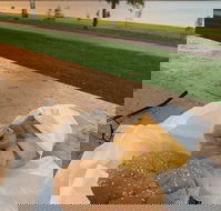 Barmera Chicken and Seafood - Go Out