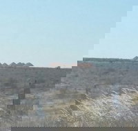 Moonlite Cafe - Go Out