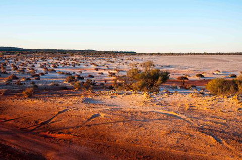 Mozie's Truckstop & Diner - Go Out 0