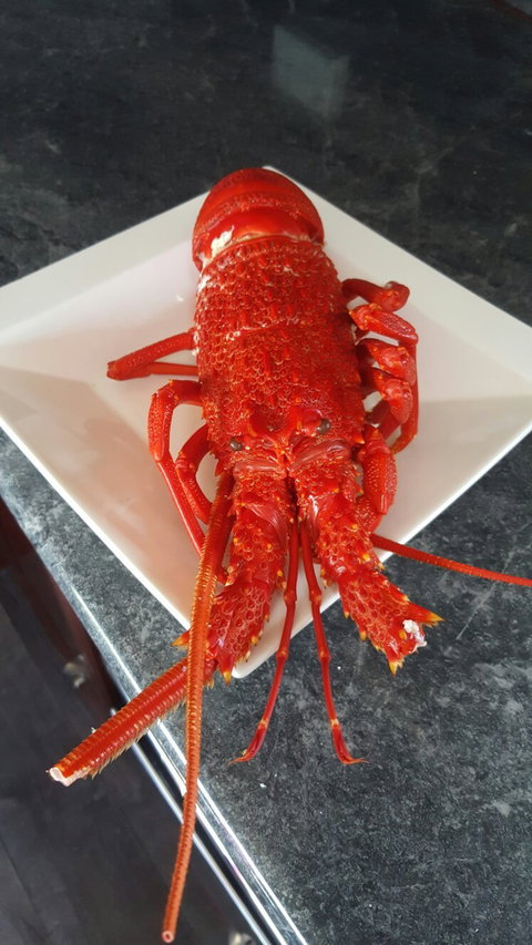 Robe Seafood & Takeaway - Go Out 1