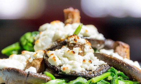 Bohemian Bungalow - Go Out 6