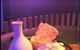 Umami Restaurant & Bar - thumb 1