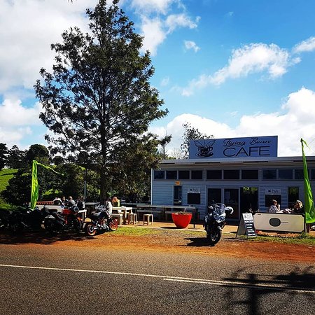 Lower Beechmont QLD Go Out