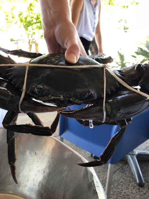 Raw Prawn Seafood Restaurant - Go Out 3