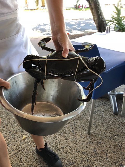 Raw Prawn Seafood Restaurant - Go Out 6