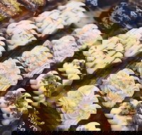 Butcher Baker Coffeemaker - Pubs and Clubs