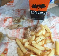 Coolabah Tree Cafe - Go Out