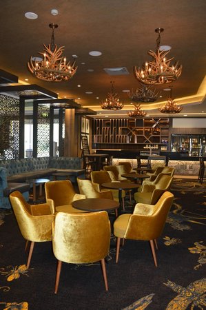 Bribie Island RSL - Go Out 0