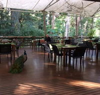 The Restaurant at Cedar Park - Go Out