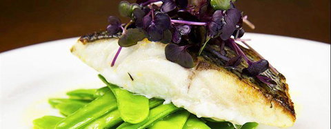 Otto's Fresh Food Market - Go Out 9