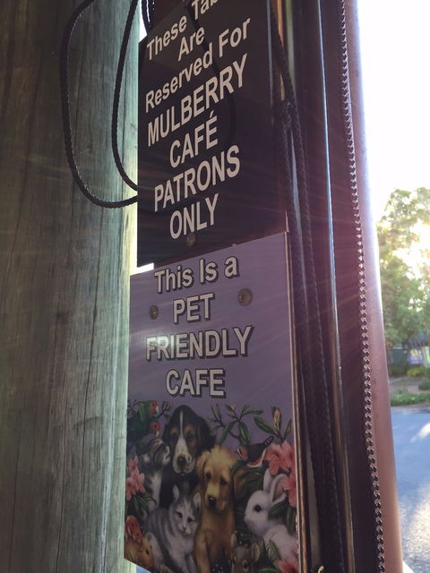 Mulberry Cafe - Go Out 6
