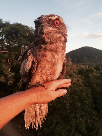 Cafe Anywhere - Go Out 0