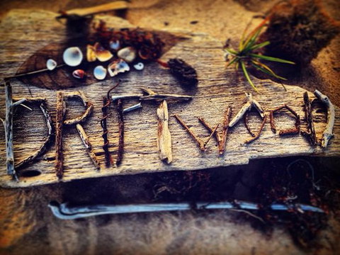 Driftwood Cafe - Go Out 0