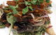 Grazing Goat Cafe - thumb 1