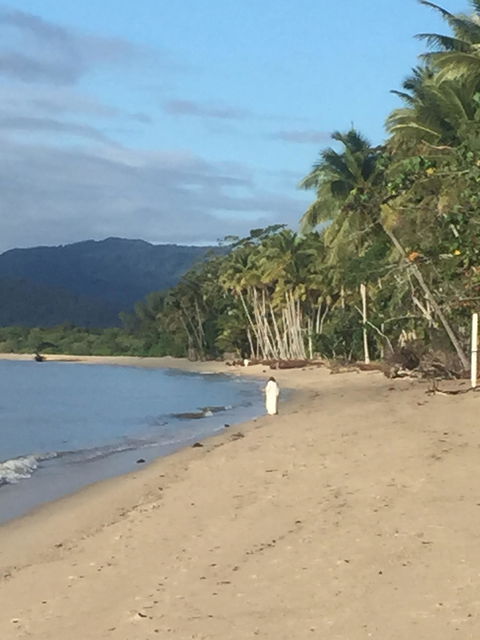 Newell Beach Takeaway And Cafe - Go Out 4