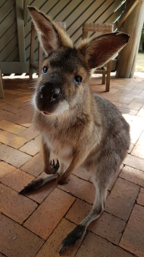 Poppies Cafe - Go Out 2