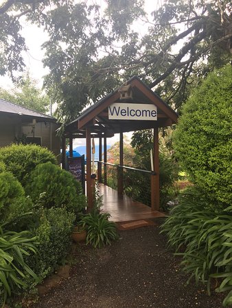 Killarney QLD Go Out