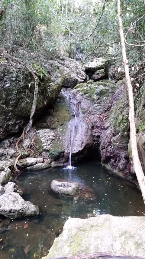 The Blue And White Teapot Cafe - Pubs and Clubs 1