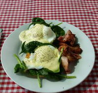 The Shed Cafe - Pubs and Clubs