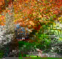 The Woods Ravensbourne - Go Out