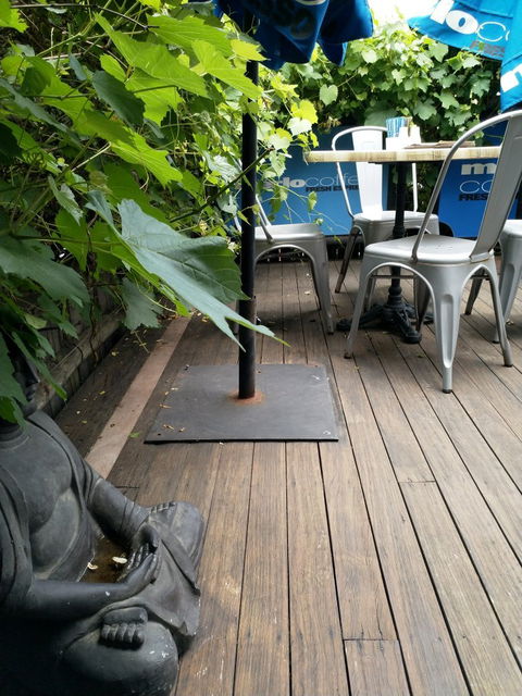 Willow Tree Cafe - Go Out 3