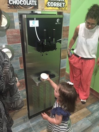 Yogurt World - Pubs and Clubs 0